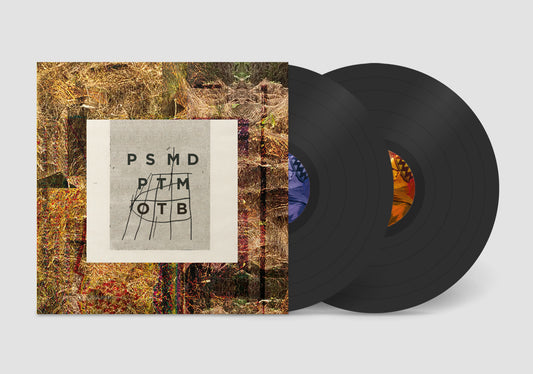 Palm Sweat 2xLP